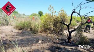Un incendio en cultivos de limones de Callosa de Segura moviliza a los bomberos