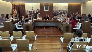 El pleno de Guardamar solicita a Conselleria la construcción de un nuevo instituto