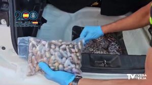 La Policía Nacional detiene a un traficante que escondía la droga en “caletas”